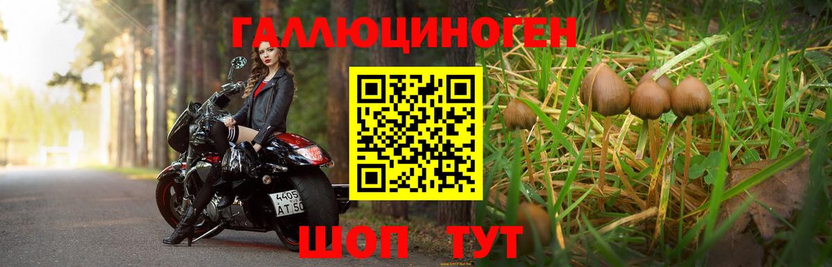 Псилоцибиновые грибы Magic Shrooms  сколько стоит  Выборг  Галлюциногенные грибы мухоморы  Вход с VPN 