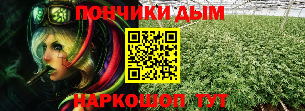 Бошки марихуана Amnesia  Марихуана планчик  Конопля Amnesia  Выборг  Вход с VPN 